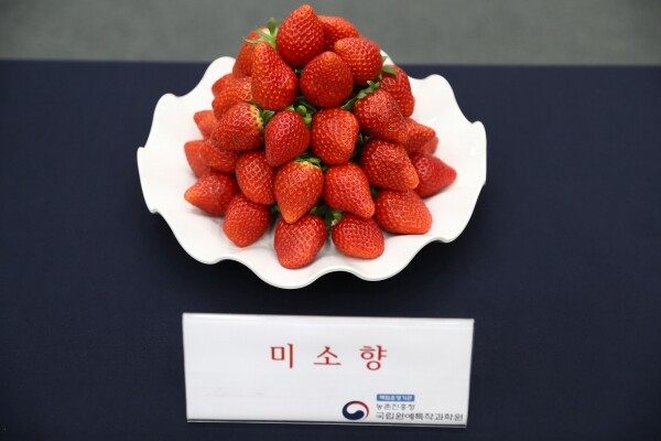 미소향