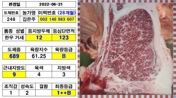 둥이네 슈퍼한우 등심