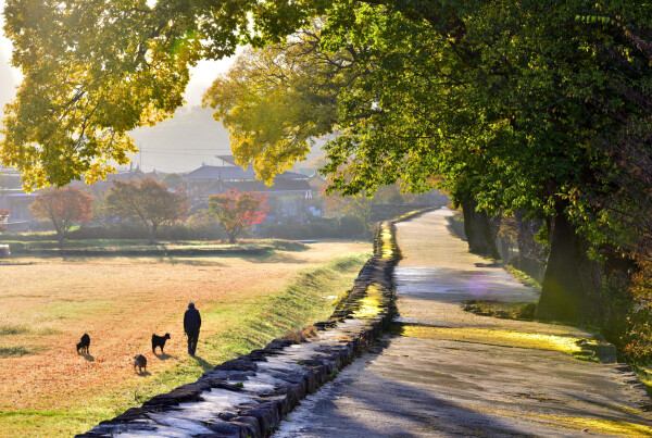 농부의 가을아침