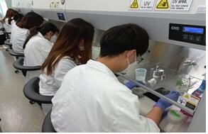 조직배양 과정 실습현장