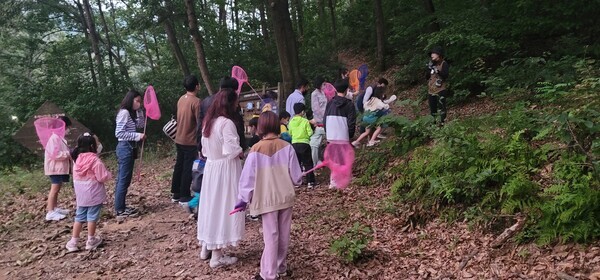 곤충탐사사진