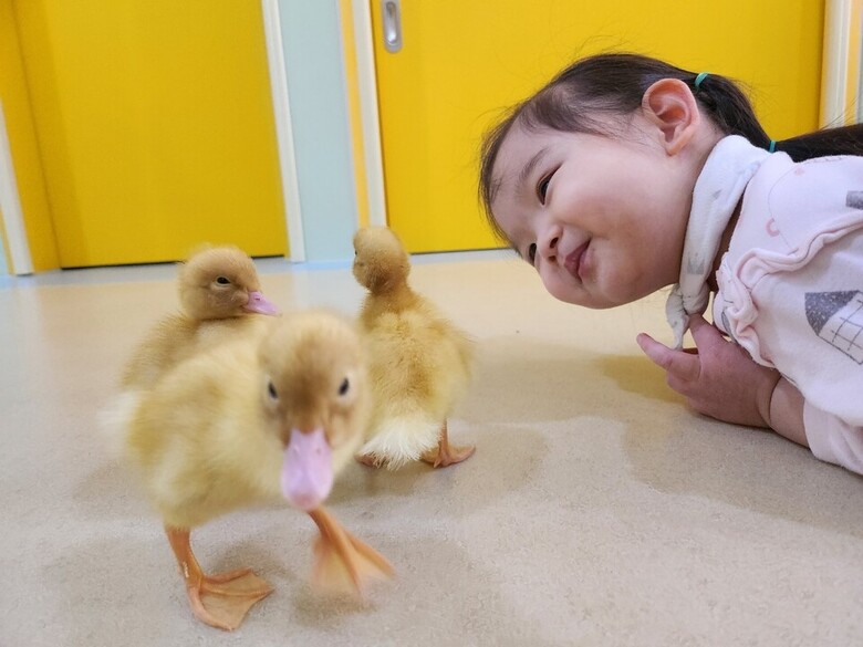 제16회 동물사랑 사진 공모전 우수상3(송선희)_눈맞춤(스마트폰) / 농식품부 제공