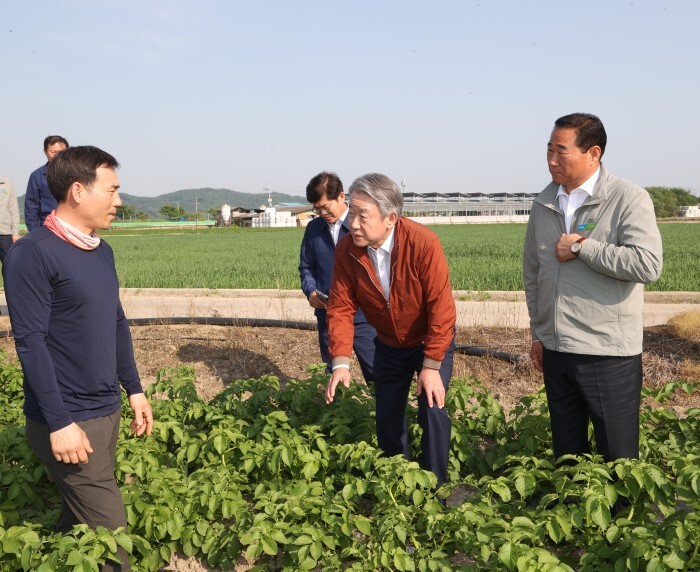 강호동 농협중앙회장, 경북 구미 감자 농가 방문(농협 제공)