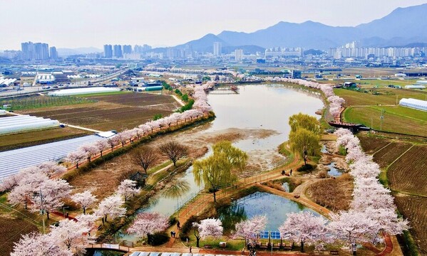 2024년 산림청 10대 뉴스 발표