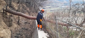 thumbimg