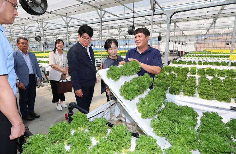 9일 충남 부여군 스마트팜 유럽형 포기상추 재배단지에서 권재한 농촌진흥청장은 잎채소 수경재배용 양액냉각기 적용 상황을 점검 했다. (사진제공: 농촌진흥청)