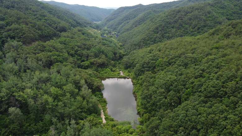 경상북도 봉화군 다목적사방댐(산림청 제공)