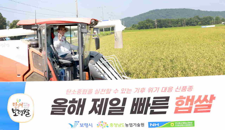 초조생종 벼 빠르미2 수확시연에 참석한 김동일 보령시장(보령시청 제공)