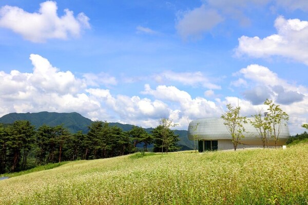 산림청, 백두대간 글로벌 시드볼트 통해  전 세계 종자보전사업 본격화