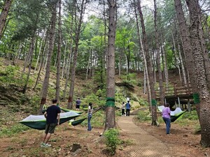 경기도, “폭염에 지친 여러분, 산림치유 프로그램 참여하세요”
