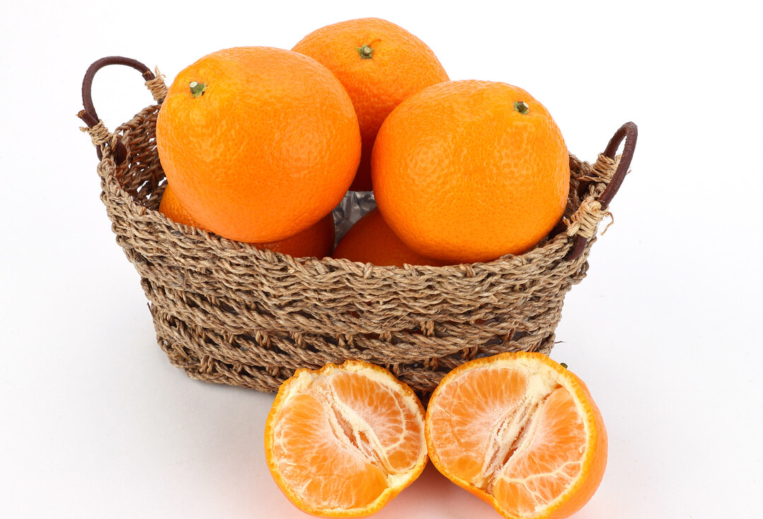 전남농기원, 고흥지역에 감귤 신품종 ‘미래향’·‘윈터프린스’ 보급