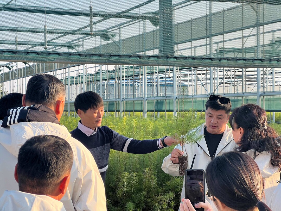 한-몽 그린벨트 사업단 연수팀, 한국의 산림녹화 기술 견학