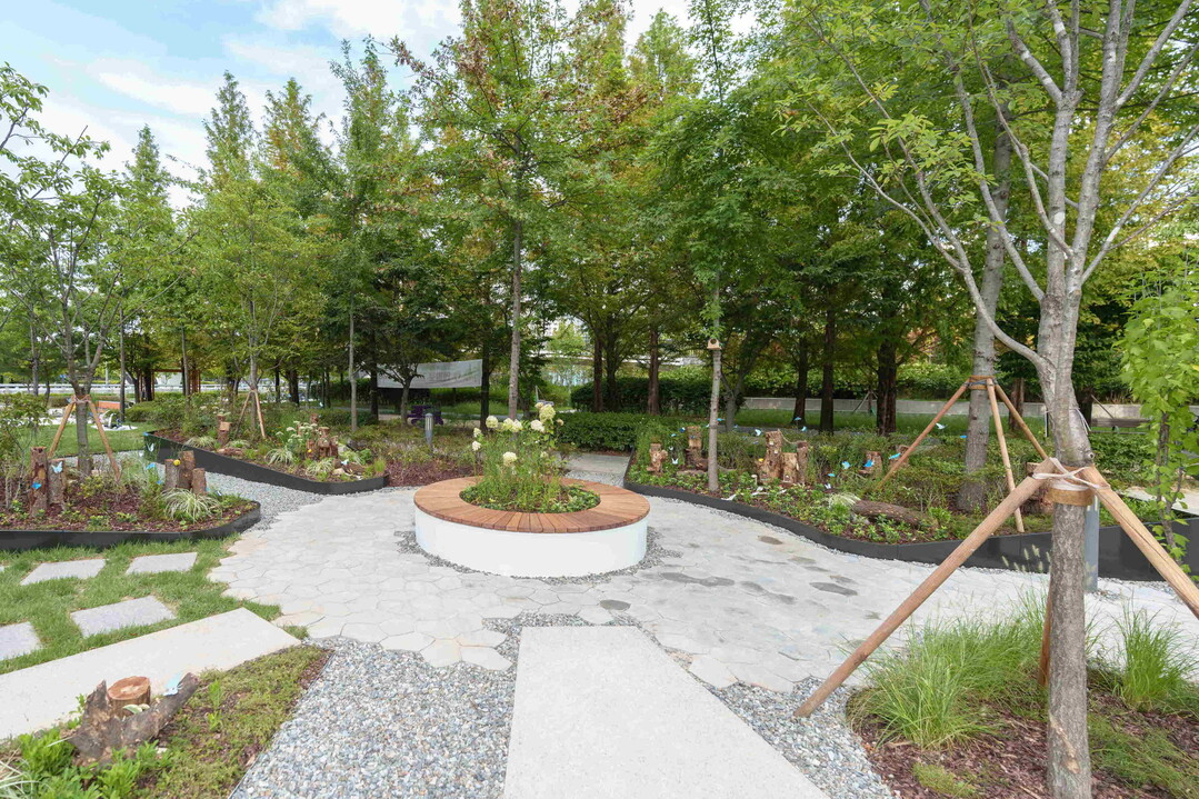 정원 좋아하는 청년들... 6개월 동안 자투리땅에 꿀벌 살리는 정원 만들어