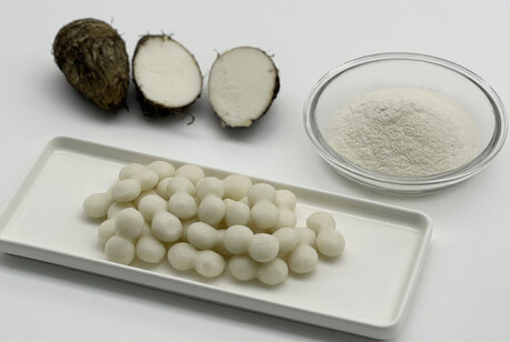 전남농기원, 곡성 토란 활용한 ‘토란 조롱이떡’ 상품화