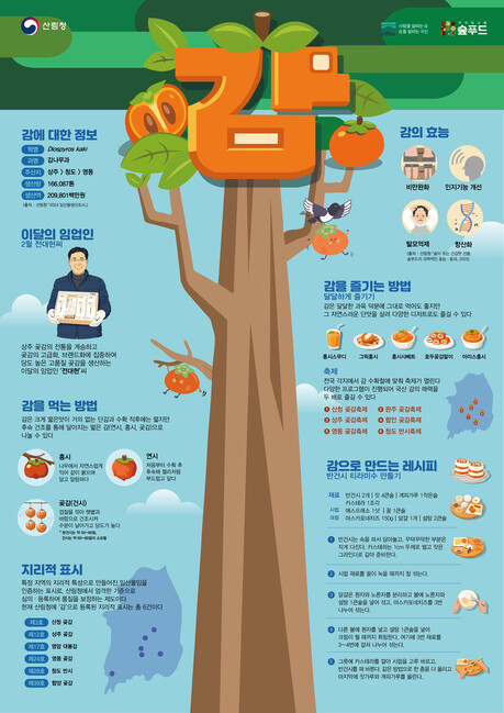 산림청, 2월 이달의 임산물로 ‘감’ 선정