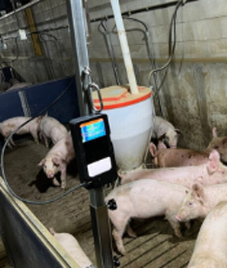 경기도농기원, 인공지능으로 스마트축산 실현. 소득 늘고 사고 줄어