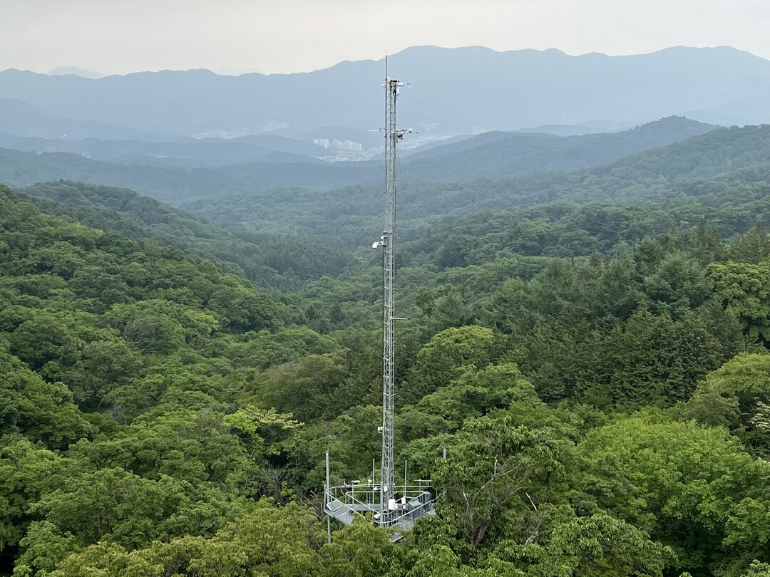 산림 플럭스 데이터 국제 허브 등재… 글로벌 연구 활용 기반 마련