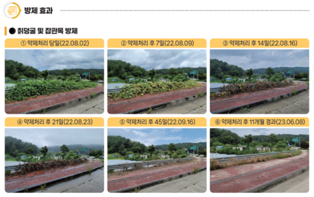 봄철 기온 상승에 잡초발생 시작! ‘하늘아래’ 주목