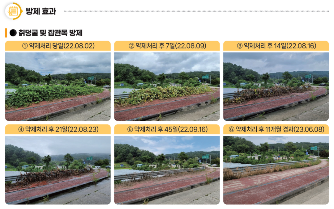 봄철 기온 상승에 잡초발생 시작! ‘하늘아래’ 주목