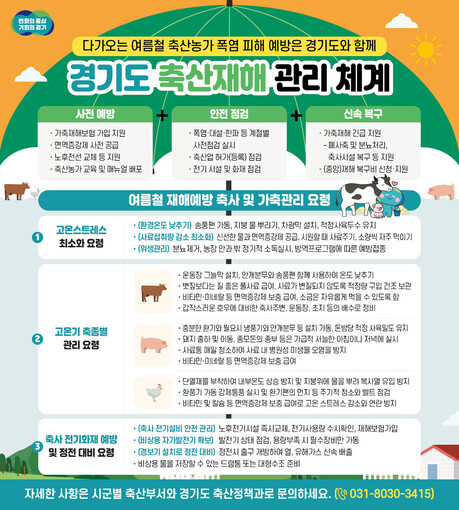 경기도, 축산농가 폭염 지금부터 대비한다…면역증강제 지원·현장점검 등