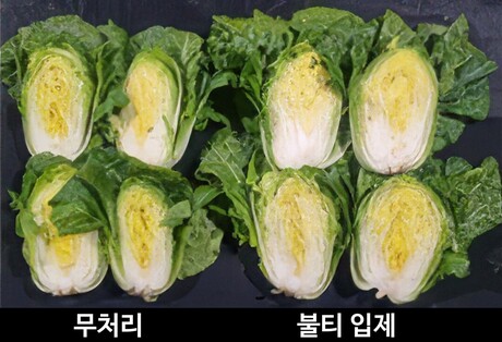 기후변화 속 작물 스트레스 대응 중요성 확대