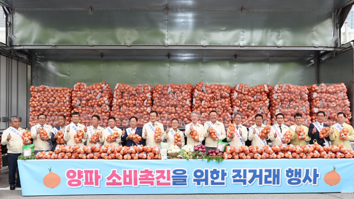 농협, 최대 882억원 투입해 양파 가격회복 총력