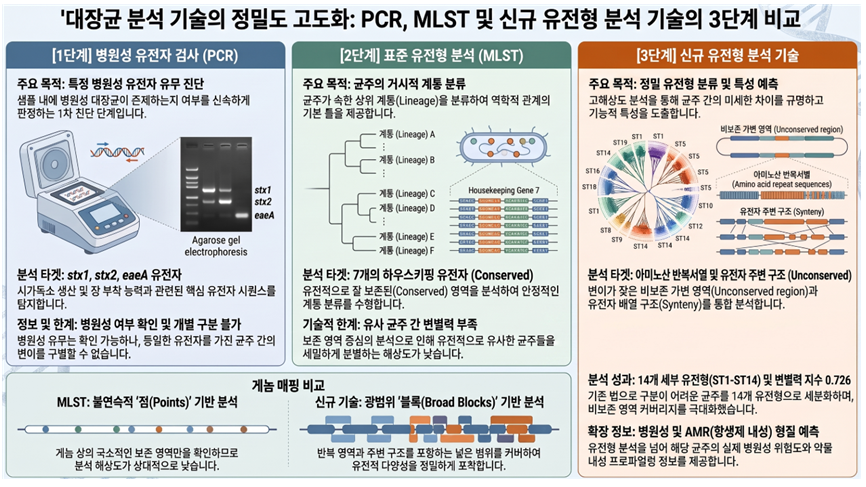 겉보기 같은 대장균, ‘유전자 지문’으로 세밀하게 가린다