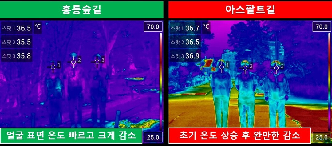 도시숲 걷기만 해도 얼굴 온도 1.9℃ 뚝