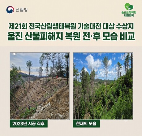 산불 피해목, 다시 숲을 살리는 재료가 되다!