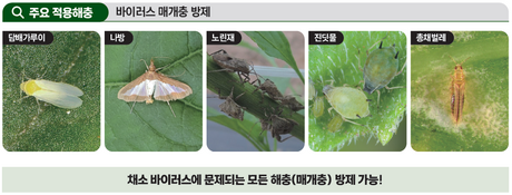 바이러스, 매개충 차단과 불활성화로 이중 방어막 구축